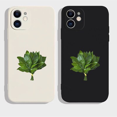 柚子叶去霉气适用苹果13p