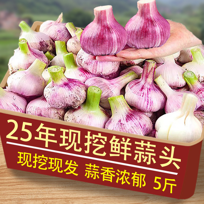 ڲ500g СͷС 25ʪƤͷ55.5Ԫ