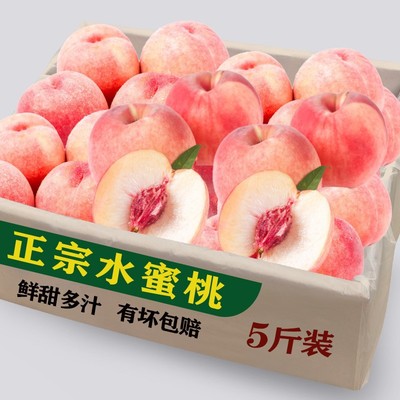 纯甜水蜜桃新鲜现摘9斤！