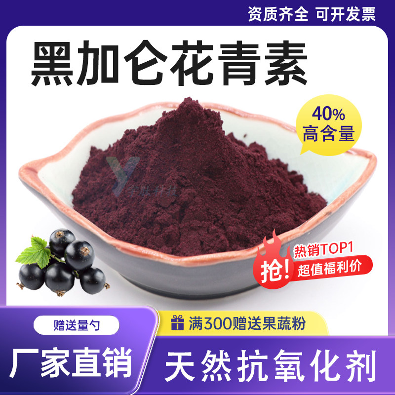 黑加仑花青素 25% 40% 黑加仑萃取粉 植物原料提取 工厂直销 现货