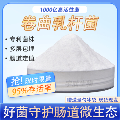 卷曲乳杆菌1000亿CFU/g 高活性益生菌菌粉冻干粉乳酸菌原料粉现货