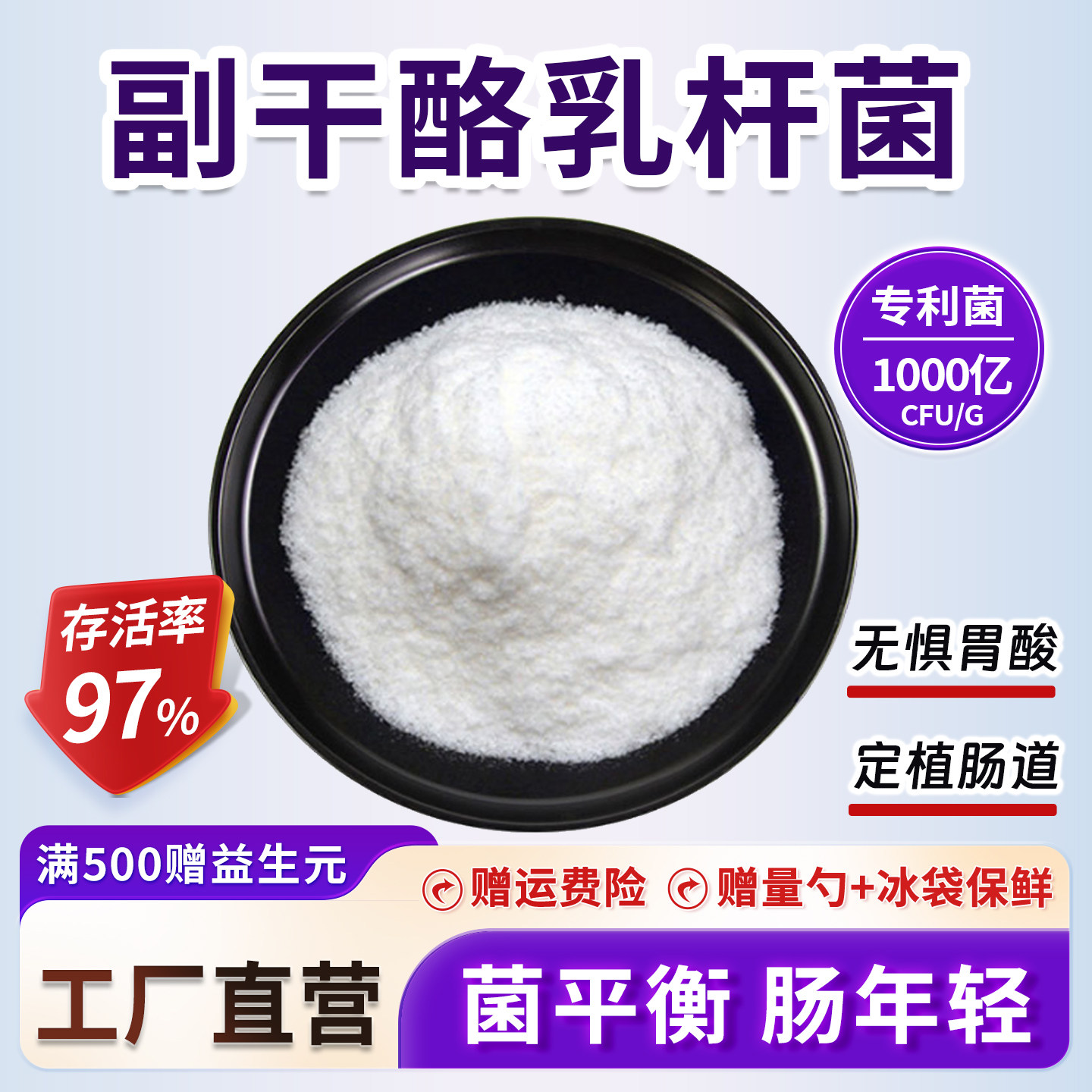 副干酪乳杆菌 100-1000亿cfu/g 冻干型益生菌粉 食品发酵乳酸菌粉