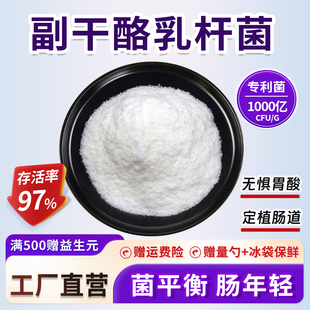 副干酪乳杆菌 100 1000亿cfu 食品发酵乳酸菌粉 冻干型益生菌粉