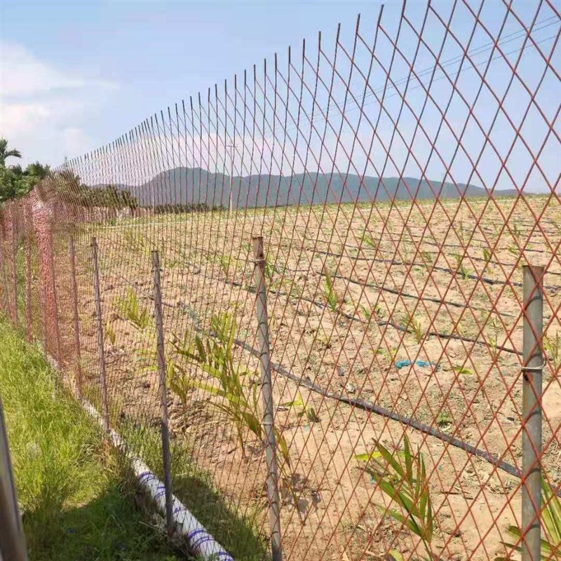 防锈菱形钢板网铁丝网围栏网格网钢丝养殖拦鸡网圈玉米围墙防护网