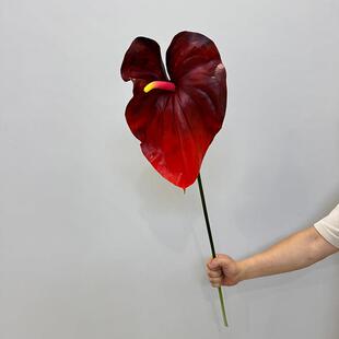模拟特大红掌火鹤花始祖花之家样板房酒店橱窗婚纱摄影装饰道具