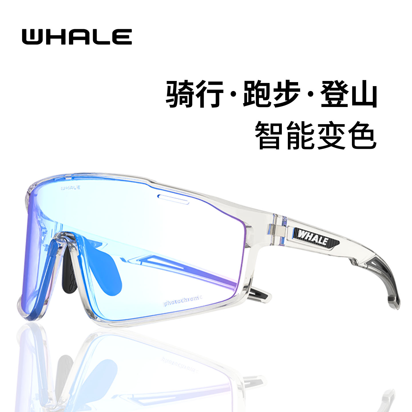 2025新款鲸鱼防风护目镜