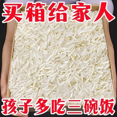 【当季新米】10斤长粒猫牙米优质大米长粒香米丝苗米煮饭熬粥长款