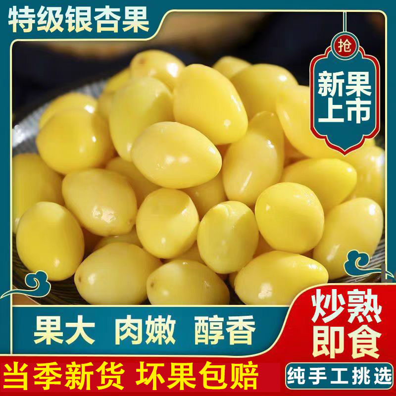 新鲜银杏果仁官方旗舰店优质白果仁去壳熟的银杏果徐州特产500g