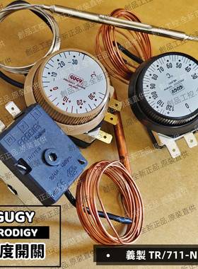 GUGY TR/711-N温度控制开关 PRODIGY italiana MILANO WY12