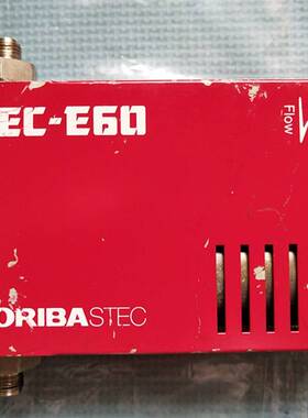 HORIBA  SEC-E60  气体质量流量计