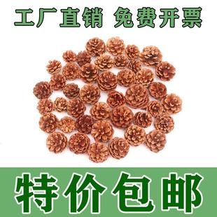 松果松塔装 饰diy材料摆件天然油松云杉松干花幼儿园手工环创挂饰