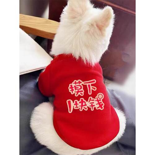 可爱猫咪狗狗宠物衣服秋冬装中小型犬吉娃娃雪纳瑞比熊泰迪防掉毛