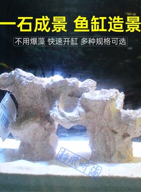 P牌 成品造景石 培菌石海缸珊瑚缸 免爆藻纽扣断枝座纽扣珊瑚底座