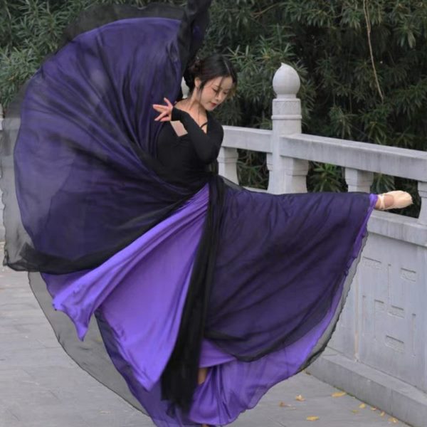 720度中国民族古典舞天丝大摆裙舞蹈服女古风演出两面穿半身长裙