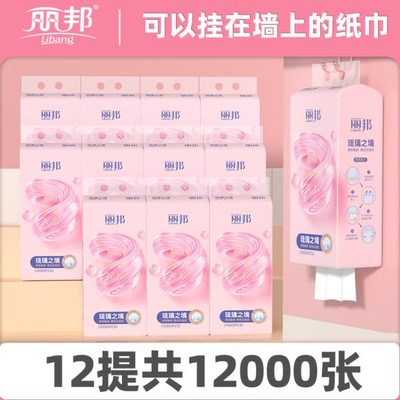 丽邦擦手纸式巾挂式张餐巾卫生纸0家用抽0实惠装悬挂抽纸10整箱