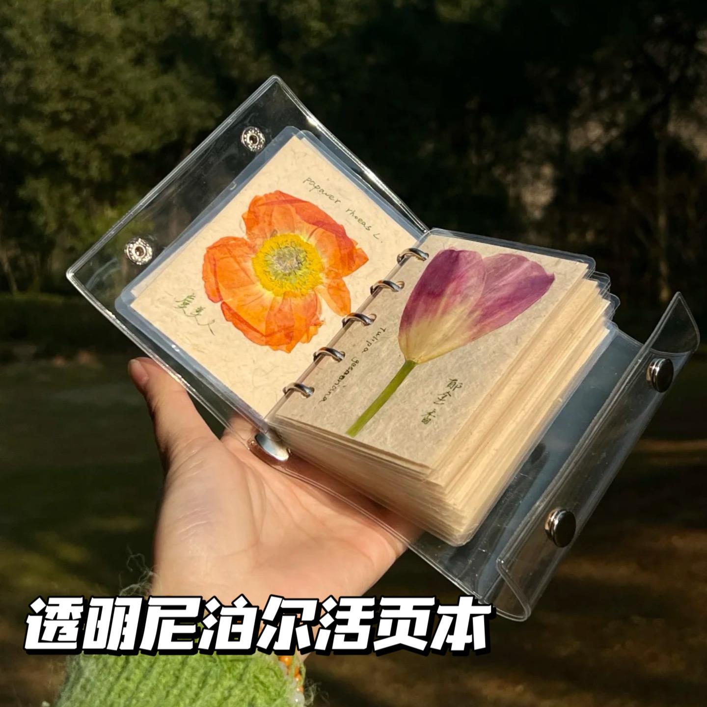 尼泊尔手工透明m5洛卡塔植物手账本diy送礼闺蜜高颜值笔记本