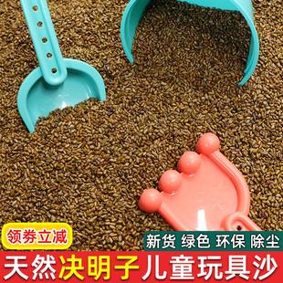 散装 儿童决明子玩具沙池家用套装 枕头芯宝宝挖沙子沙滩玩沙子室内