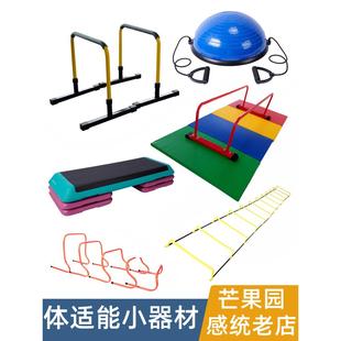 体适能器材早教运动馆儿童感统训练体能运动波速球跨栏单双杠踏板