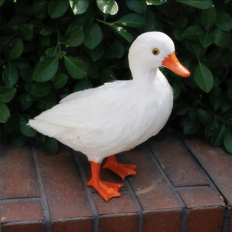 采购产品模拟动物模型道具，模拟鸭子，白色番石榴，白鹅摄影道具