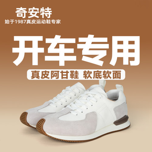 奇安特开车专用鞋头层牛皮秋冬男鞋阿甘鞋休闲运动鞋时尚真皮潮鞋