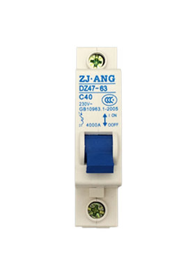 珠江DZ47-63小型断路器单极空气开关家用电闸40A保护器1PC6A-63A