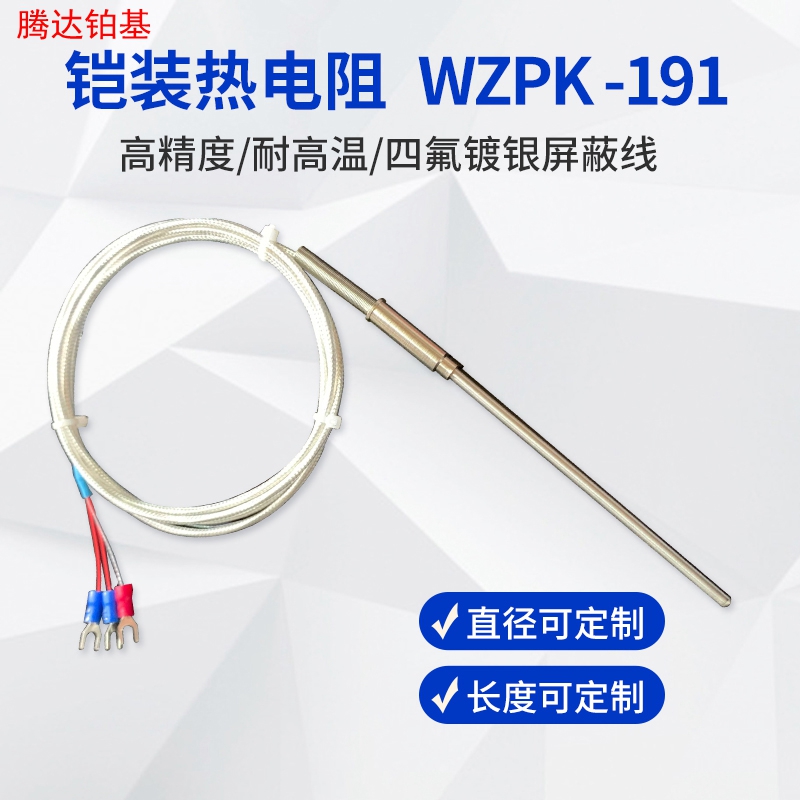 PT100铠装铂热电阻PT1000温度探头探针G式温度传感器WZPK-191针型