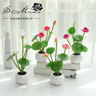 明档摆菜装饰品花草西餐点缀冷菜摆盘酒店荷叶创意刺身花草餐厅