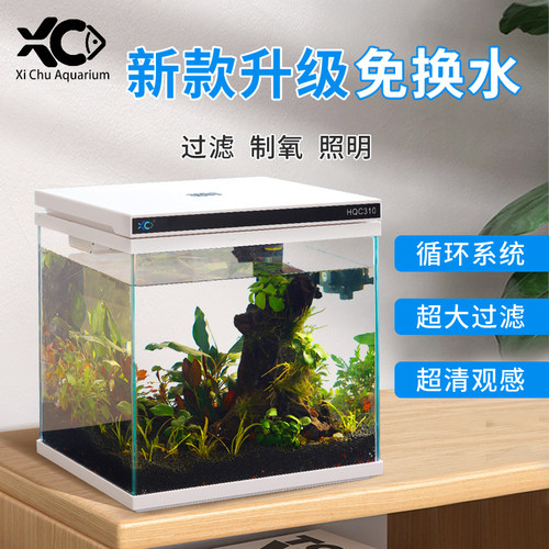 西楚2025年新款金晶超白干湿分离