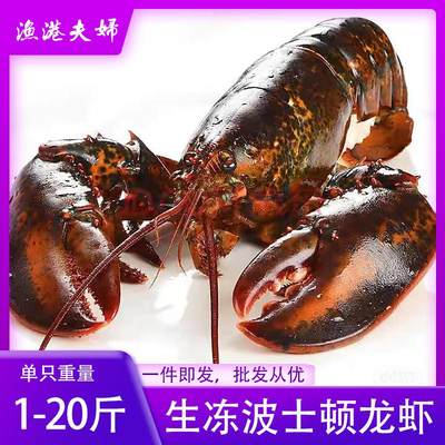 生冻波士顿龙虾新鲜速冻发货冰鲜大龙虾波斯顿龙虾海鲜食用水产