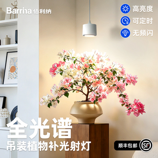 Barrina佰利纳全光谱仿太阳吊装植物墙射灯绿植鹿角蕨花卉补光灯