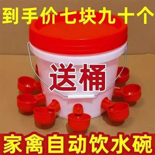 鸡鸭鹅家禽自动喂水器养殖专用水桶鸭鹅喂鸡自动饮水器鸽子饮水碗