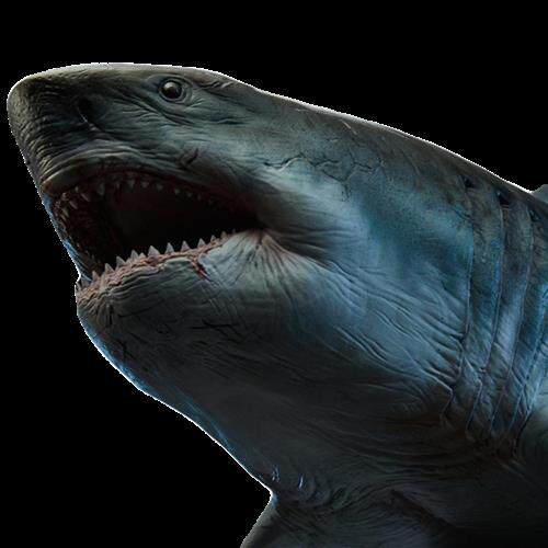 万茏堂巨齿鲨鬼颚手办雕像模型海底巨兽古生物场景摆件大白鲨