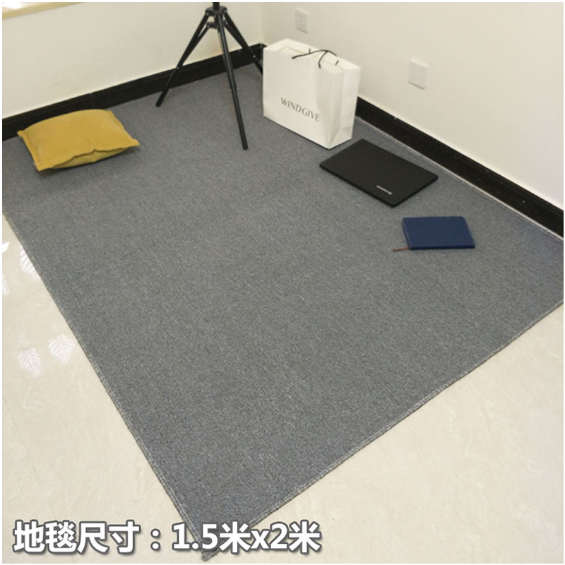 卧室地毯满铺定制灰色家用防滑房间大面积床边办公室客厅整铺地垫