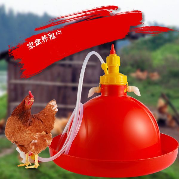 加厚雏鸡苗小鸡鸭鹅用自动饮水器喂水器水壶水桶养鸡用品养殖设备