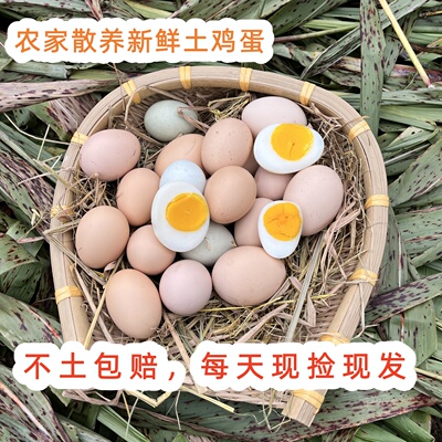 推荐广西古典鸡100%土鸡初生蛋