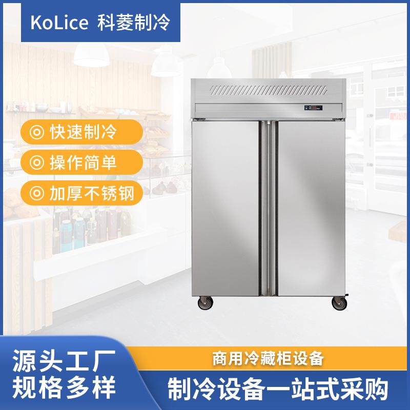 商用冰箱立式不锈钢冷藏柜保鲜冷藏双温冷柜烘焙保鲜大容量冰箱