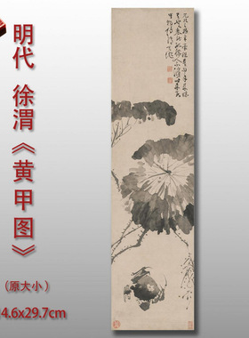 徐渭黄甲图明国画微喷临摹复制