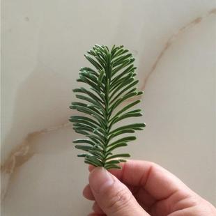 圣诞装饰品仿真松针单面立体藤圈花环手工diy材料仿真诺贝松枝
