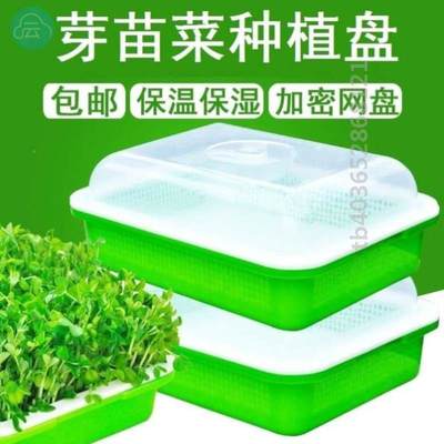 发黄豆芽家用神生豆器具工盆豆芽的662芽无土栽培专用发芽盆发豆