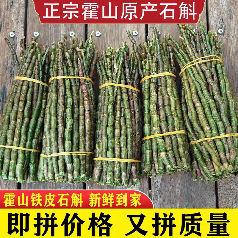 正宗安徽霍山铁皮石斛鲜条新鲜官方正品旗舰店中药材500可礼盒g