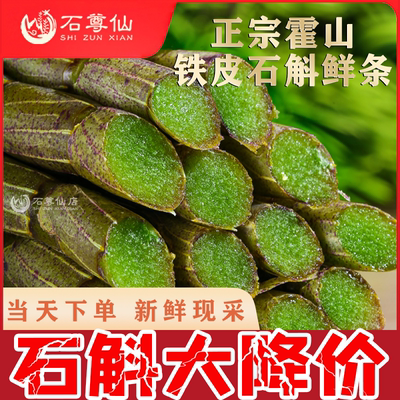 正宗安徽霍山铁皮石斛鲜条