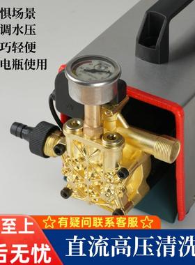 36V48V60V72V直流无刷高压清洗机货车电瓶车户外打药专用全铜电机