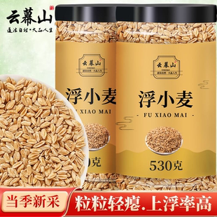 云幕山浮小麦530g罐装正宗干瘪小麦浮麦饮出汗正品浮小麦泡水新货