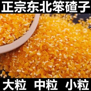 东北玉米碴子小粒2023年农家玉米糁中粒粗大碴子粥五谷杂粮笨碴子