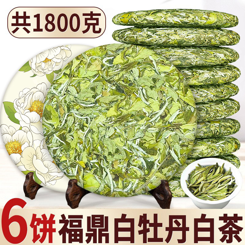 新茶2026白茶正宗福鼎高山荒野非寿眉白牡丹茶饼明前春茶头采茶叶