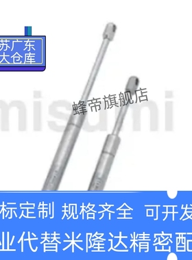 FRGSS-A60 A80 A100 B60 B80-100 125 150 200 300 400 气弹簧304