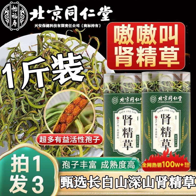 北京同仁堂化石草可搭肾精草精品黄金草嗷嗷叫肾精草官方正品