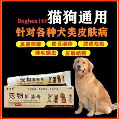 江仁狗狗药兽医治疗皮肤病猫癣湿疹趾间炎瘙痒红肿痒止痒外用药膏