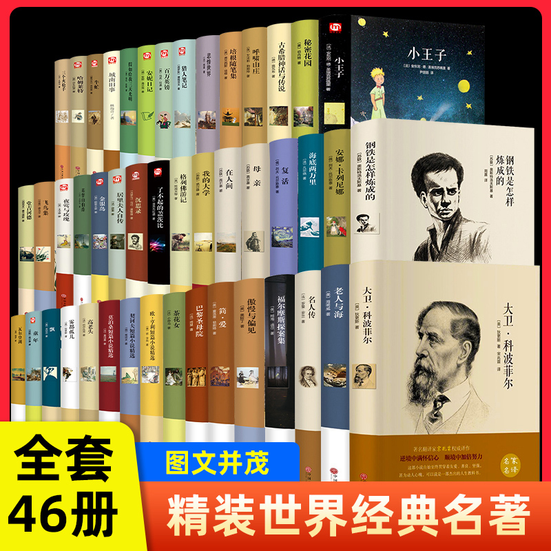 世界名著全套正版精装世界十大经典文学小说名著套装书籍中小学生课外读物青少年版钢铁是怎样炼成的 海底两万里 巴黎圣母院书籍