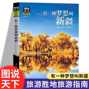 有一种梦想叫新疆 图说天下国家地理系列 国内外自助游旅游攻略景点介绍书青少年成人课外阅读书籍地图科普百科旅行自驾游清单旅游